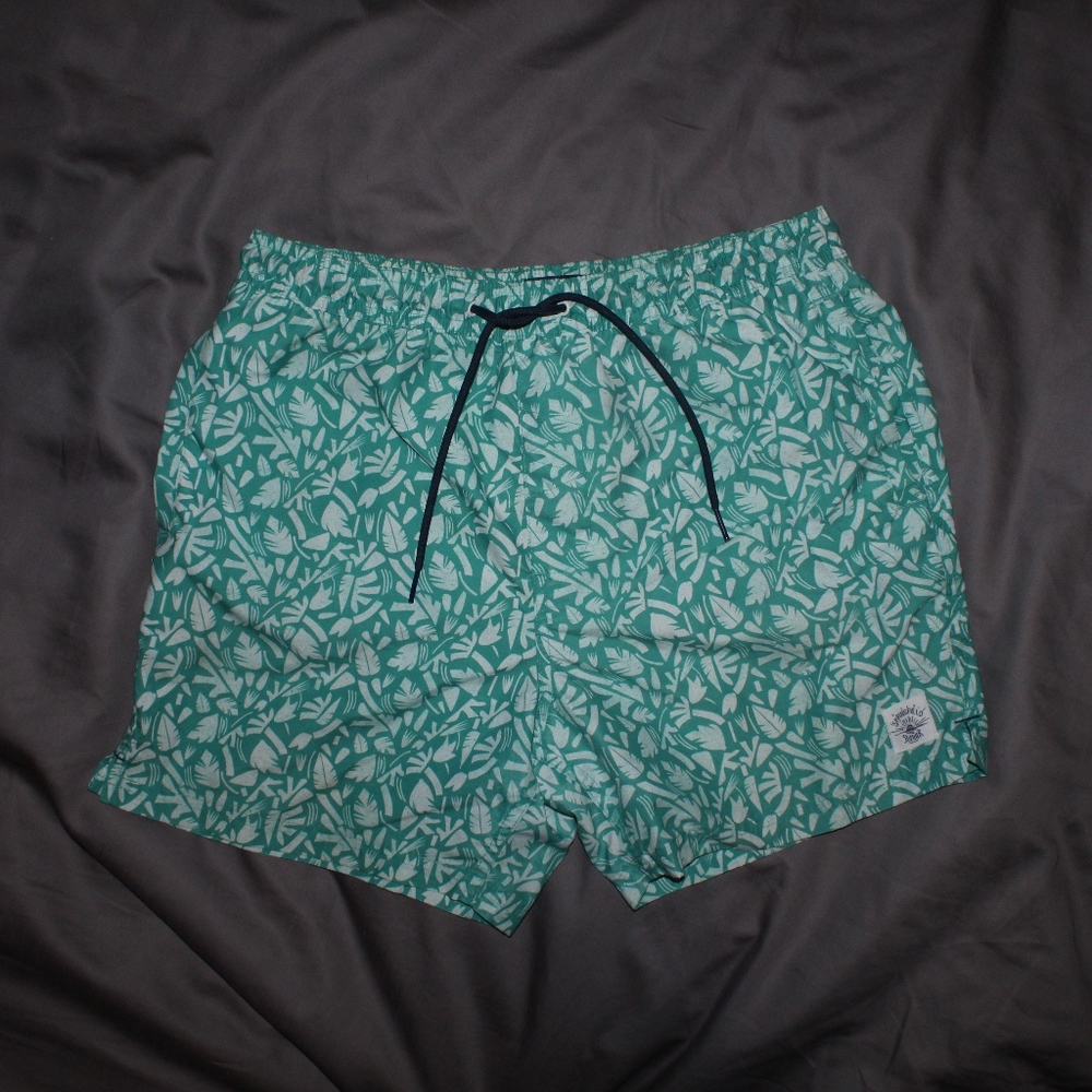 Springfield Swim Trunks